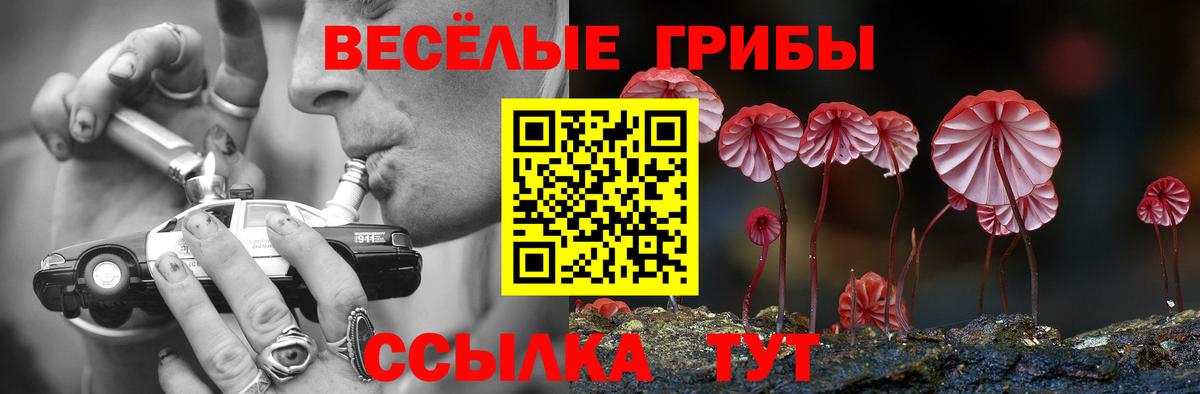 Галлюциногенные грибы мицелий  Вход с VPN  Калуга  Галлюциногенные грибы Psilocybe 
